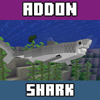 Download shark mods for Minecraft PE