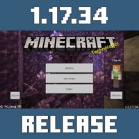 Download Minecraft PE 1.17.34
