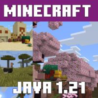Download Minecraft Java 1.21